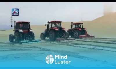 Desert turns into oasis China s new technology