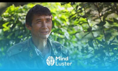 Large scale farming leads to high productivity in China