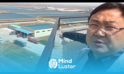 One of the biggest farms in the world