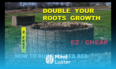 How to Build a Raised Wood Chip Organic Gardening Bed for beginners Cheap Designs Part 1