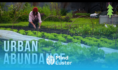 Organic Urban Farming on a 1 2 Acre Property Urban Abundance