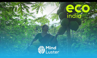 Eco India How can farmers thrive without using chemical fertilisers