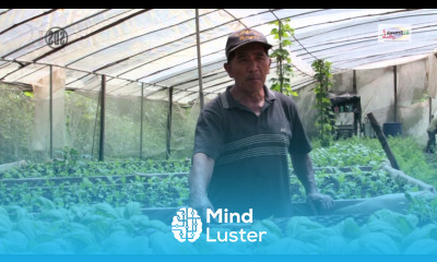 Sustainable Farming Systems Organic Agriculture in Benguet Philippines