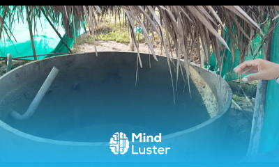 ORGANIC FARMING IN INDIA Two Brothers Oragnic Farms Tour