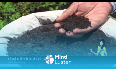 How to Grow Organic Vegetables on Your Roof Top