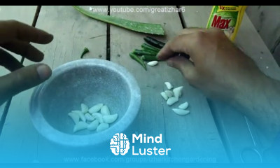 How to Make Organic Pesticide Natural Pesticides for Ants Ghar per Pesticide Spray Kese Bnain