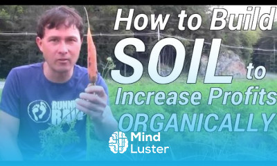 How to Best Build Soil to Increase Profit When Organic Farming