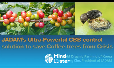 JADAM s Ultra Powerful Coffee Berry Borer CBB control solution to save Coffee trees from Crisis