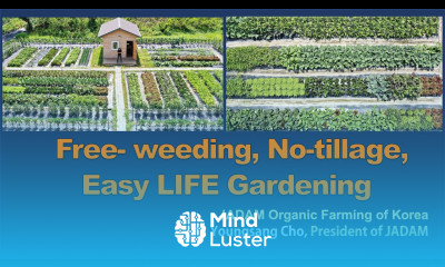 Free weeding No tillage Easy LIFE Gardening by JADAM