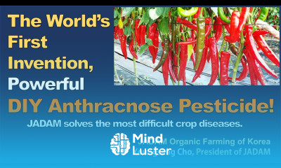 The World s First Invention Powerful DIY Anthracnose Powdery mildew solution