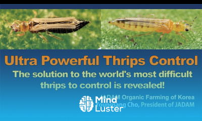 Ultra Powerful Thrips Control Solution The world s most uncontrollable thrips solution JADAM