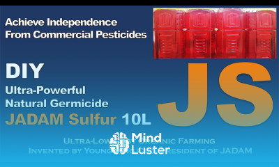 DIY Ultra Powerful Natural Germicide JADAM Sulfur JS 10L for Gardeners Homemade pesticide