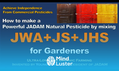 How to Make a Powerful JADAM Natural Pesticide by mixing JWA JS JHS for Gardeners Homemade