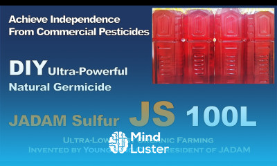Ultra Powerful Natural Germicide JADAM Sulfur JS by No heating simple method DIY 100L