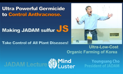 JADAM Lecture Part 15 Homemade pesticide Making JADAM sulfur JS