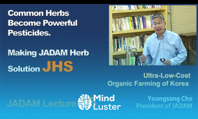 JADAM Lecture Part 16 Common Herbs Become Powerful Pesticides Making JADAM Herb Solution JHS