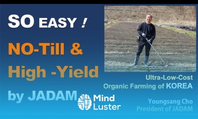 SO EASY NO Till High Yield Technology by JADAM Organic Farming
