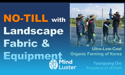 NO TILL with Landscape Fabric Equipment JADAM Organic Farming