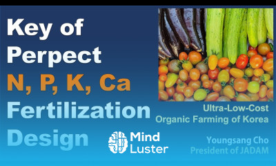 Key to perfect N P K Ca Fertilization Design JADAM Organic Farming