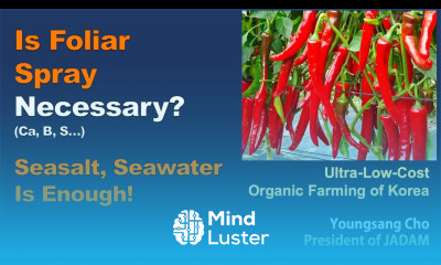 Is foliar spray necessary Ca B S Seasalt Seawater is Enough