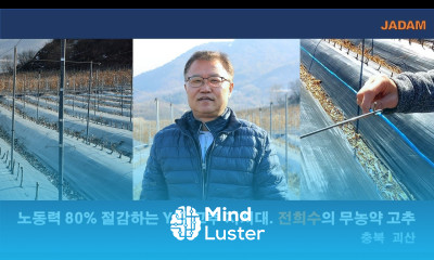 노동력 80 절감하는 Y자 고추 지지대 개발자 전희수 010 3747 9286