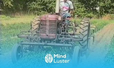 Custom Cultivator for Plastic Edges from Vegetable Farmers and their Weed Control Machines