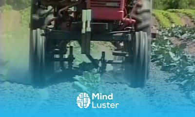 Sweeps from Vegetable Farmers and their Weed Control Machines