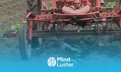 Filled Furrow Squash Cultivator Weed Em and Reap