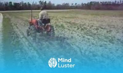 Farmall Cub Field Cultivator 1