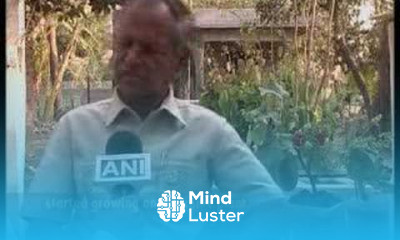 Tomato cultivation experiment