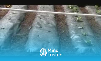 AWESOME Beginners Guide to Setting Up a Garden Part 4 of 4