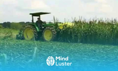 Organic High Residue Reduced Till Roller Crimper Weed Em and Reap