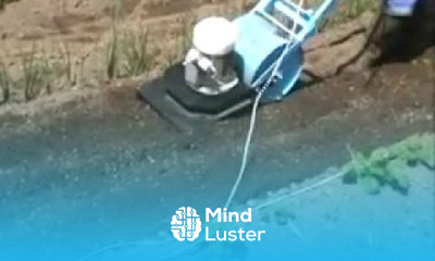 Рыхление междурядий и клубники