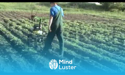 Мотоблок Днепр Плоскорез прополочный