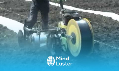 Капельный полив