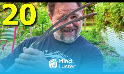 20 BEST Garden Tools I ALWAYS Use Non Powered