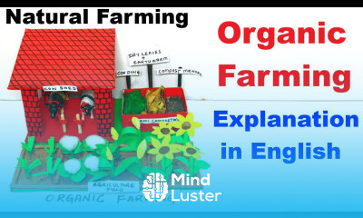 organic farming explanation in english natural farming agriculture howtofunda