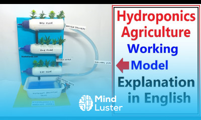 hydroponics working model explanation in english for science project exhibition howtofunda