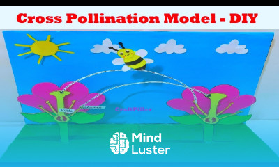 pollination model 3d for science project exhibition biology projects craftpiller still model