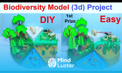 biodiversity model 3d project for science exhibition diy simple and easy steps howtofunda