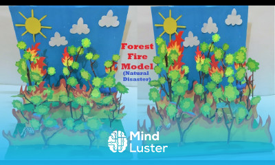 forest fire model 3d Natural Disaster for social science exhibition project DIY howtofunda
