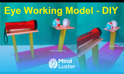 eye working model science project diy biology zoology project howtofunda craftpiller