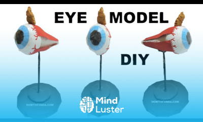 eye model 3d making diy science project biology model making howtofunda