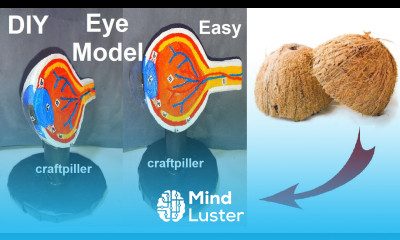 how to make eye model 3d making using cardboard diy craftpiller howtofunda