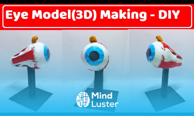 eye model making 3D diy science biology project craftpiller still model