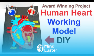 human heart working model creative and innovative design for science exhibition howtofunda