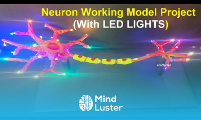 neuron working model 3d science project using led lights diy simple and easy craftpiller
