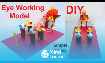 eye working model 3d for science exhibition diy easy and simple steps biology craftpiller