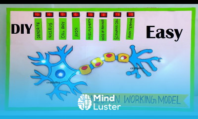 neuron working model 3d science project for science exhibition simple easy diy craftpiller