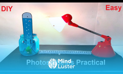 photosynthesis working model practical inspire science project diy howtofunda craftpiller